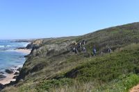 7. Tag - Wanderreise Alentejo - Rio Mira und Milfontes (5)