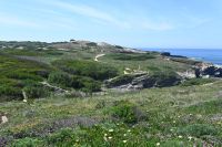 7. Tag - Wanderreise Alentejo - Rio Mira und Milfontes (11)