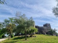 Guimares Burg 2