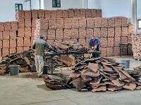 Korkeichenfabrik (2)