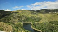 Douro-Kreuzfahrt mit Lissabon // wundervolles Douro-Tal