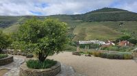 Douro-Kreuzfahrt mit Lissabon // Besuch der Quinta da Roeda