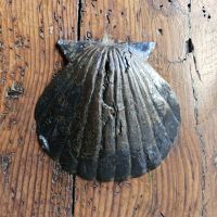 Douro-Kreuzfahrt mit Lissabon // Muschel-Palast in Salamanca