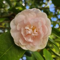 Douro-Kreuzfahrt mit Lissabon // Rundgang in der Gartenanlage des Mateus-Palastes