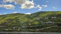 Douro-Kreuzfahrt mit Lissabon // Rückfahrt nach Regua