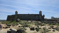 Douro-Kreuzfahrt mit Lissabon // Festung São Francisco Xavier in Porto