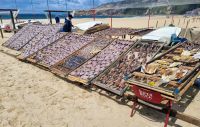 Nazare Trockenfisch 2