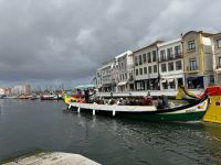 Aveiro (12)