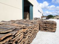 Corticarte de Azaruja