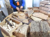 Corticarte de Azaruja