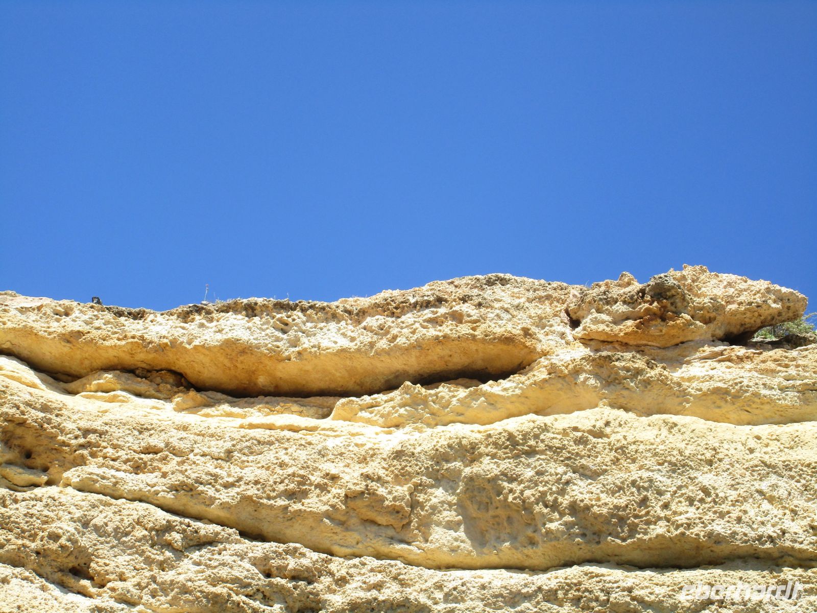 Armacao de Pera, Grottenfahrt, Krokodil