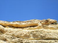 Armacao de Pera, Grottenfahrt, Krokodil