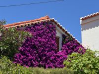 ...von Lagos nach Burgau (7)