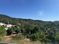 ...Wanderung Rocha da Pena (2)