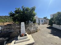 ...Wanderung Rocha da Pena (7)