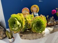 ...Wanderung Rocha da Pena (14)