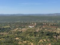 ...Wanderung Rocha da Pena (17)