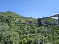 Zugfahrt am Fluss Duoro entlang (2).jpg