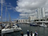 Whale Watching Tour (4)