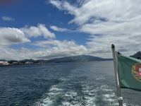 Whale Watching Tour (3)