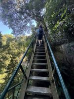 Rundwanderung Caldeira da Ribeira Grande (9)