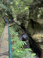 Rundwanderung Caldeira da Ribeira Grande (5)