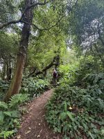 Rundwanderung Caldeira da Ribeira Grande (7)