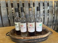 Weinverkostung  in der Adega A Buraca (12)