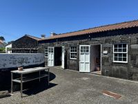 Weinverkostung  in der Adega A Buraca (13)