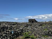 Wanderung auf Pico (3)