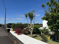 Wanderung auf Pico (8)