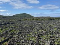 Wanderung auf Pico (10)