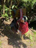 ...im Capelinho Gebiet (10)