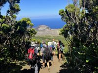 ...im Capelinho Gebiet (13)