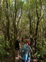 ...im Capelinho Gebiet (14)