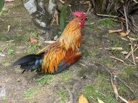 ...im Borges Park (2)