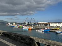 Ponta Delgada (15)