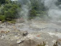 Campo Fumarolico das Caldeiras da Lagoa Furnas (2)