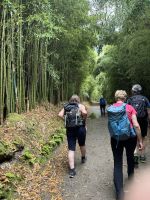 Wanderung Furnas (2)