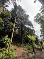 Wanderung Furnas (1)