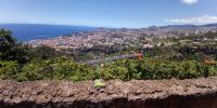 Tag 3 Panoramablick auf Funchal