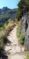 Tag 4 Der Wanderweg PR 1.2 zum Pico Ruivo