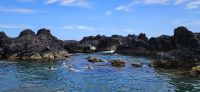 Meerwasserpools in Calheta de Nesquim