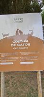 Monte Brazil, betreute Katzenkolonie