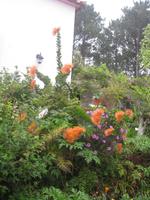 ... an bunten Gärten