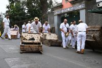 2. Tag - Madeira aktiv erleben - Funchal - Korbschlittenfahrt (1)