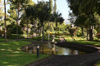 2. Tag - Madeira aktiv erleben - Funchal - Quinta Vigia (5)