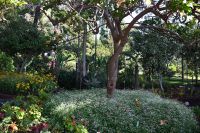 2. Tag - Madeira aktiv erleben - Funchal - Quinta Vigia (6)