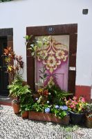 2. Tag - Madeira aktiv erleben - Funchal - Zona Velha (7)