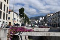 2. Tag - Madeira aktiv erleben - Funchal (15)